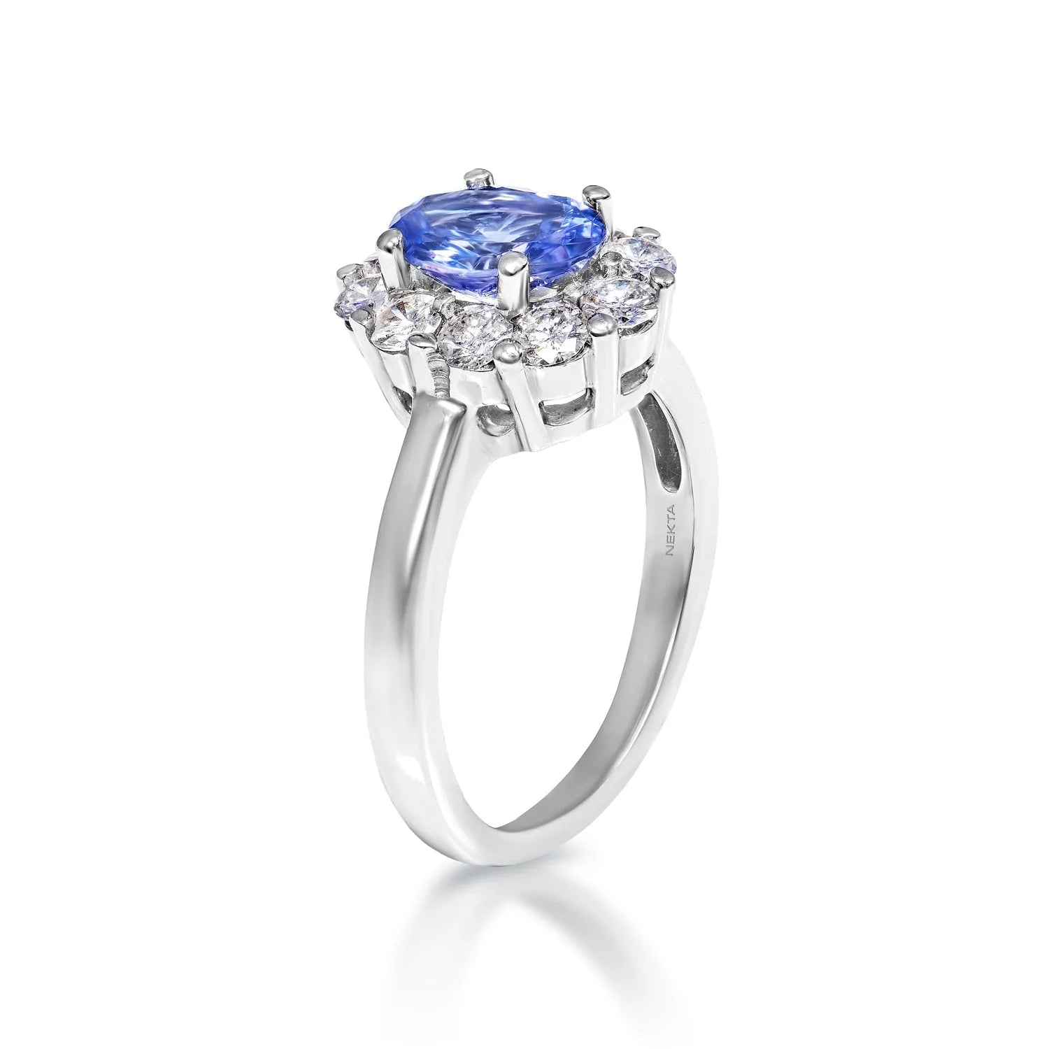 Stevie 2 Carat Oval Cut Tanzanite Ring in 14 Karat White Gold Side View