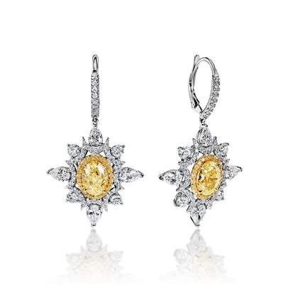 Everleigh 8 Carat FLY IF - VS2 Oval Shape Diamond Leverback Earrings in 18k Yellow & White Gold Front & Side View