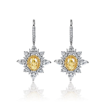 Everleigh 8 Carat FLY IF - VS2 Oval Shape Diamond Leverback Earrings in 18k Yellow & White Gold Front View