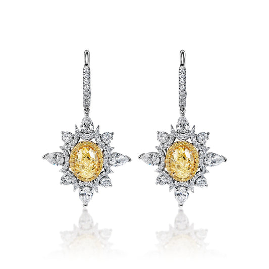 Everleigh 8 Carat FLY IF - VS2 Oval Shape Diamond Leverback Earrings in 18k Yellow & White Gold Front View